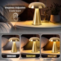 Leroxo Portable Led Table Lamp Cordless Metal Desk Lamp 3 Color Touch Control Rechargeable Lamp 3Levels Brightness Room Decor