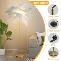 Feather Floor Lamp, Natural Ostrich Feather Lamps Gold Floor Lamp, Modern Feather Floor Lamp With Elegant Shade, Tall Feather Lamp For Bedroom, Estate Room