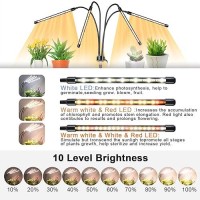 Growstar Plant Grow Light With Stand 4 Heads Full Spectrum Grow Lamps With 1563 Adjustable Tripod Stand 4812H Timer 3 Sw