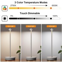 Jalvde Cordless Battery Powered Table Lamp Rechargeable Led Dimmable Brightness Metal 6000Mah Touch Desk Lamp Portable Modern D