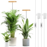 Lordem Bamboo Plant Grow Light 82 Leds Full Spectrum Plant Light For Indoor Plants Brightness Adjustable Led Growing Lamp With