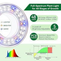 Grow Light For Indoor Plants Full Spectrum 48Leds Small Grow Light Plant Light Super Bright With 481218H Auto Timer Dimmab