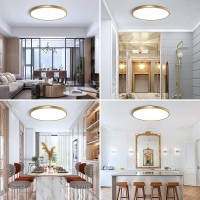 Fletergib 157 Inch Gold Flush Mount Ceiling Light Fixture 5000K Daylight White 32W 3800Lm Bright Led Ceiling Light Flat Roun