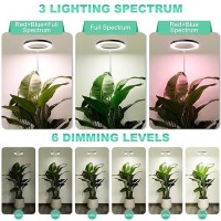 Lordem 10 Full Spectrum Grow Light 160 Leds Plant Lamp For Indoor Plants Grow Lamp With 4812H Auto Timer 10 Dimmable Leve