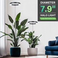 Lordem Grow Light For Indoor Plants 79 Full Spectrum Led Plant Grow Light Height Adjustable Growing Lamp With Auto Timer 4H