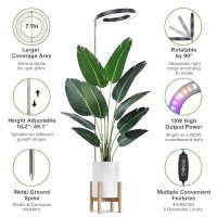 Lordem Grow Light For Indoor Plants 79 Full Spectrum Led Plant Grow Light Height Adjustable Growing Lamp With Auto Timer 4H