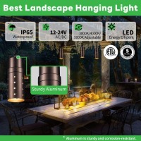 Varmtalys Low Voltage 3Cct Hanging Light, 3000K/4000K/5000K Selectable Outdoor 12V Led Pendant Light, Ip65 Waterprooforb Aluminum For Gazebo Tree Porch Landscape Lighting