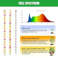 Rwntao Four Strip Growing Lamp For Indoor Plants Red 3000K 6000K Full Spectrum Led Grow Light Strips With Auto Onoff 391