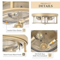 Odorpower Gold Flush Mount Ceiling Light Fixture With Glass Brass Ceiling Light Fixture For Bedroom Indoor Outdoor Ceiling Ligh