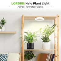 Lordem 63 Ceiling Grow Light For Indoor Plants 72 Leds Full Spectrum Halo Plant Light Under Cabinet Growing Lamp With 48