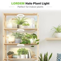 Lordem 63 Ceiling Grow Lamp For Indoor Plants 216 Leds Full Spectrum Halo Plant Light Under Cabinet Grow Lights With 481