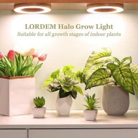 Lordem Bamboo Ceiling Grow Light For Indoor Plants 144 Leds Full Spectrum Grow Lamp 63 Under Cabinet Plant Lamp With 481