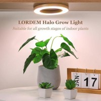 Lordem Bamboo Ceiling Grow Light For Indoor Plants 72 Leds Full Spectrum Plant Light 63 Halo Under Cabinet Growing Lamp Wi