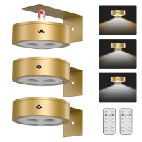 Euiokun 3Pack Wireless Picture Light Battery Operated Painting Light With Remote Magnetic Timer Display Art Light For Wall Dimma