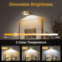 Euiokun 3Pack Wireless Picture Light Battery Operated Painting Light With Remote Magnetic Timer Display Art Light For Wall Dimma