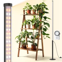 Barrina T10 Pro Standing Grow Light With Timer 42W 169 Leds Full Spectrum Vertical Grow Light For Indoor Wide Coverage 4Ft