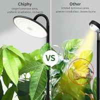 Chiphy Grow Lights 60W Full Spectrum Plant Light For Indoor Plants 10 Dimmable Brightness Height Adjustable Ideal For Tall S