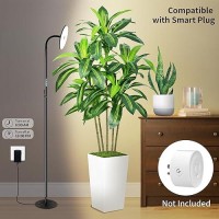 Chiphy Grow Lights 60W Full Spectrum Plant Light For Indoor Plants 10 Dimmable Brightness Height Adjustable Ideal For Tall S