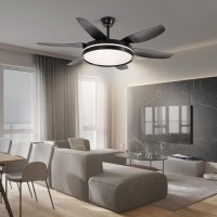 Redstar 52 Inch Matte Black Ceiling Fan With Light And Remote, Flush Mount, Reversible, 3Cct, Dimmable, Noiseless, Ceiling Fan For Living Room, Indoor/Outdoor Use