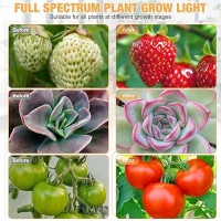 Led Grow Lights 2 Packs 2 Heads Full Spectrum Plant Light With Clamp For Indoor Plants Seed Starting 10Level Dimmable Au