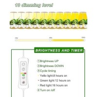 Plant Grow Light For Indoor Plant Bamboo Mini Led Grow Light Garden Height Adjustable Automatic Timer With 81216 Hours