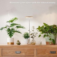 Plant Grow Light For Indoor Plant Bamboo Mini Led Grow Light Garden Height Adjustable Automatic Timer With 81216 Hours