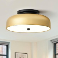 Peblto Led Flush Mount Ceiling Light,Modern Gold Ceiling Light Fixture,Mid Century Ceiling Lamp For Hallway,Bedroom,Entryway,Living Room,Entrance,Foyer,Kitchen,Laundry Room.18W/1350Lm