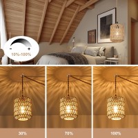 Alaislyc Plug In Pendant Light With 8W Led Bulb Warm Light3000Kdimmable Switch Cute Rattan Hanging Lamp Cord 15Ft Hand Woven W