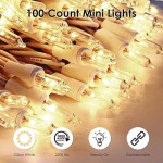 Meteds Christmas Lights 100 Count Clear Mini Lights White Wire Ul Certified Connectable Warm White String Lights For Christmas T