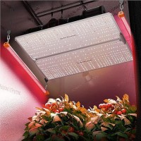 Spider Farmer Suppir16 Led Grow Light Bars 730745Nm Ir Supplemental Light For Indoor Plants 2X2 3X3 4X4 Grow Tents Daisy