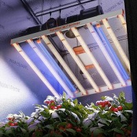 Spider Farmer Suppuv60 Led Grow Light Bars Uv Supplemental Light For Indoor Plants Vertical Farming Grow Rooms 2X4 5X5 Gro