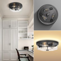 Luminzone Flush Mount Ceiling Light With Clear Glass Shade 3Light Indoor Outdoor Farmhouse Lighting Flush Mount Lights For Kit