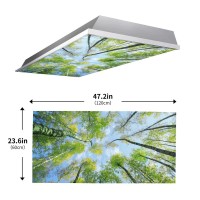 2Pcs Fluorescent Light Covers For Classroom Ceiling Lights Magnetic Light Covers Fluorescent Light Filters For School Home Offic