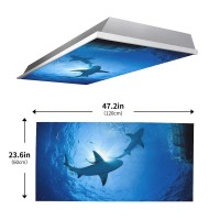 2Pcs Fluorescent Light Covers For Classroom Ceiling Lights Magnetic Light Covers Fluorescent Light Filters For School Home Offic