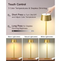 Fizrice 2 Pack Led Cordless Table Lamps 5000Mah Rechargeable Battery Operated Lamp 3 Color Stepless Dimmable Touch Lamp Small