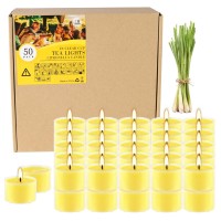 50 Pcs Yellow Tealight Candles In Clear Cup 8 Hour Burn Time Outdoor And Indoor Citronella Tea Candle For Balcony Garden Por