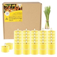 50 Pcs Yellow Tealight Candles In Clear Cup 8 Hour Burn Time Outdoor And Indoor Citronella Tea Candle For Balcony Garden Por