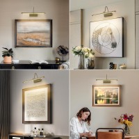 Joosenlux Battery Operated Picture Lights Gold Wall Lights Wireless Flexible Neck With Remote Rechargeable Wall Lights For Pictu