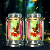 Angmln 2 Pack Solar Fairy Lanterns Adorable Hummingbird Theme In Silver Glass Mason Jars Gifts For Mom Grandma And Women W