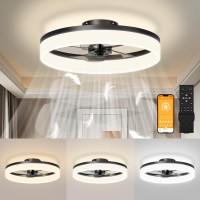 Jofios Low Profile Ceiling Fans With Lights 197In Flush Mount Fandelier Ceiling Fan With 6 Wind Speeds Dimmable Black Modern