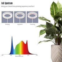 Indoor Grow Light 20 Watt Full Spectrum Led Plant Growth Light With Stand Adjustable Height With Timer 3912 Hrs White Led P