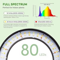 Lpmzmbl Dual Heads Grow Lights For Indoor Plant Full Spectrum Desk Halo Plant Lights For Indoor Growing With 3912 Timer 5 Di