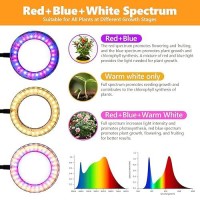 Grow Lights For Indoor Plants Full Spectrum Desk Plant Light 242 Extendable Stand 60 Leds Red Blue Halo Grow Lamp Adjustable