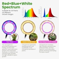 Grow Lights For Indoor Plants Red Blue Yellow Full Spectrum Desktop Small Led Halo Plant Growing Lamps With Stand Automatic Tim