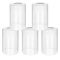 5 Pack Clear Glass Lamp Shade