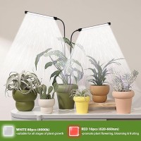 Weeleegoo Grow Light 2 Pack 6000K Full Spectrum Gooseneck Growing Lamp For Indoor Pot Plants Bonsaiplanthouseplants Dimmable