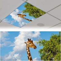 2 Pack Fluorescent Light Cover For Ceiling Light Funny Giraffe Magnetic Light Covers Classroom Light Filters Drop Fluorescent