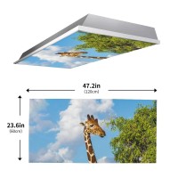 2 Pack Fluorescent Light Cover For Ceiling Light Funny Giraffe Magnetic Light Covers Classroom Light Filters Drop Fluorescent