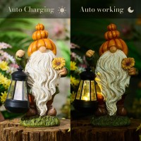 Teresas Collections Outdoor Fall Decor Garden Gnomes With Solar Lights For Outside Garden Statues Resin Fall Decorations For H