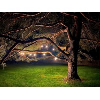 Magictec Led Shatterproof String Lights Commercial Grade With 15 Hanging Sockets 48 Ft Black Outdoor Weatherproof Cord Strand Fo